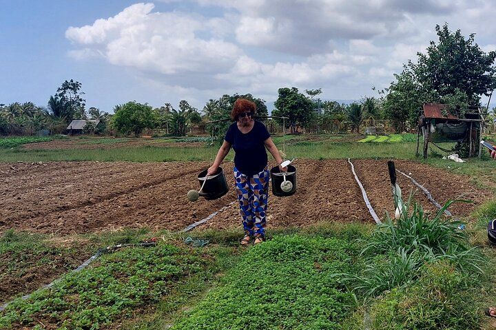 Vegetables garden in the community 