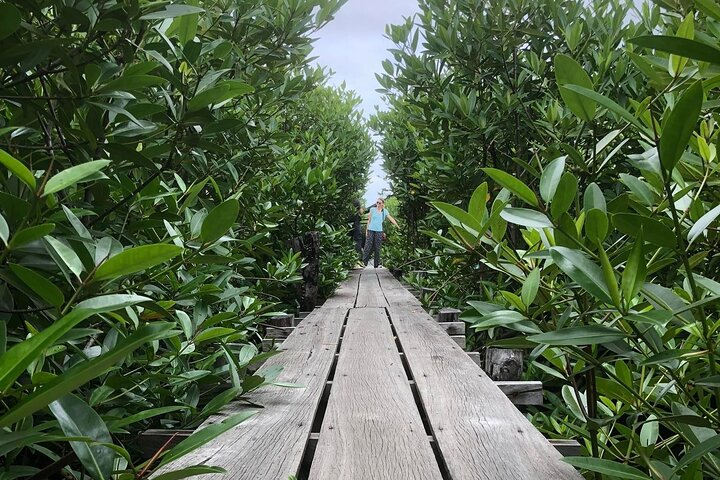 Kampot Countryside Tour - Pepper Farm, Salt Lake, Caves, and more - Photo 1 of 9