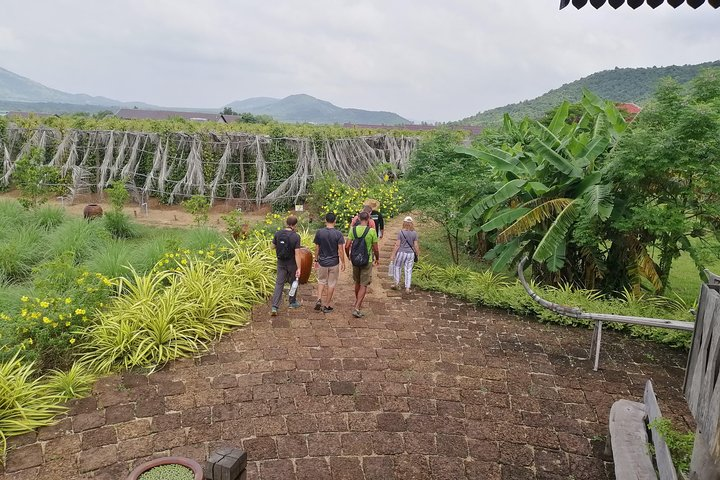 Kampot Tour Pepper Plantation, Salt Field, Cave, Secret Lake - Photo 1 of 21