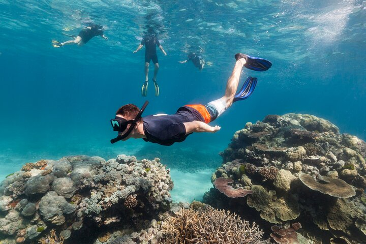 PADI Skin Diver (Snorkeling) - One Day Program - Photo 1 of 6