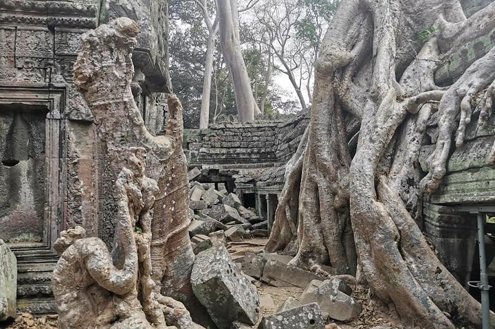 Ta Prohm temple 