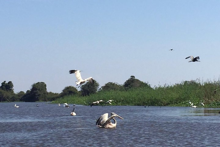 Prek Toal Bird sanctuary Off Beaten Track  - Photo 1 of 8