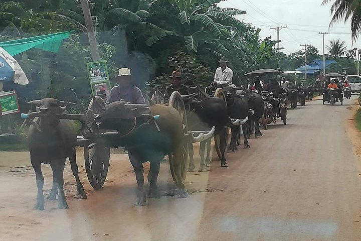 Buffalo Cart