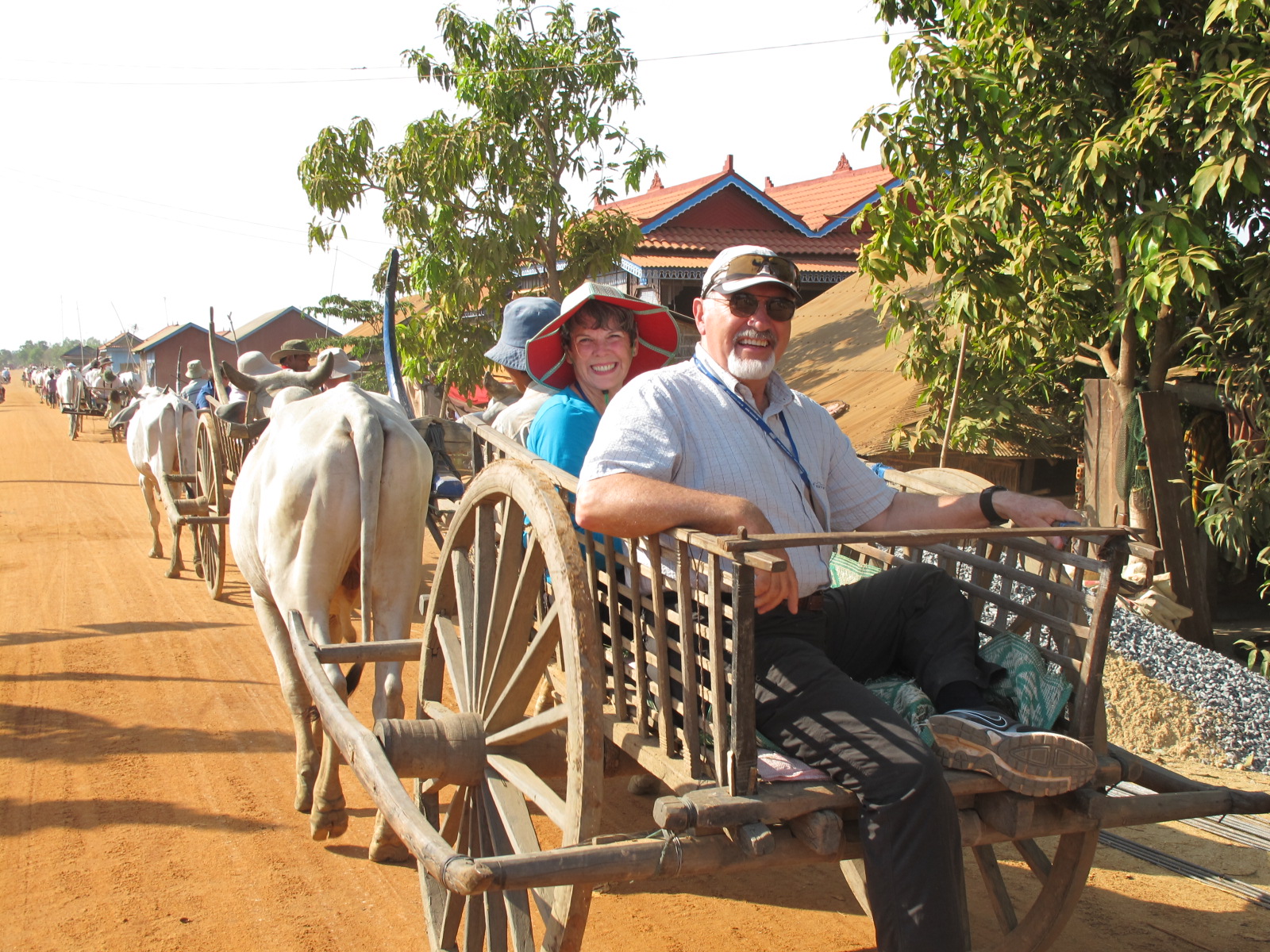 Sunset Dinner at a Rice Paddy Field in Siem Reap - Photo 1 of 5