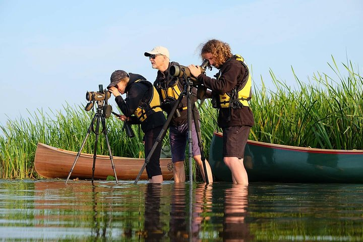 BIRDWATCH - Premium guided canoe tour at Cape Vente, Nemunas Delta Regional Park - Photo 1 of 24