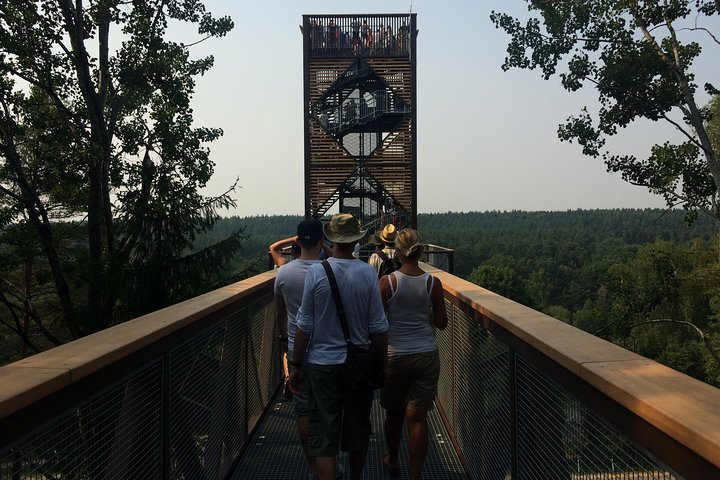 The Treetop Walking Path