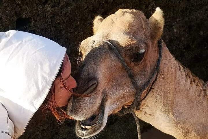 1/2 Day Camel Trekking in Essaouira with Meals - Photo 1 of 14