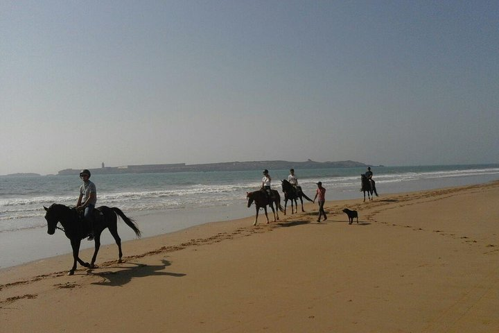 On the beach