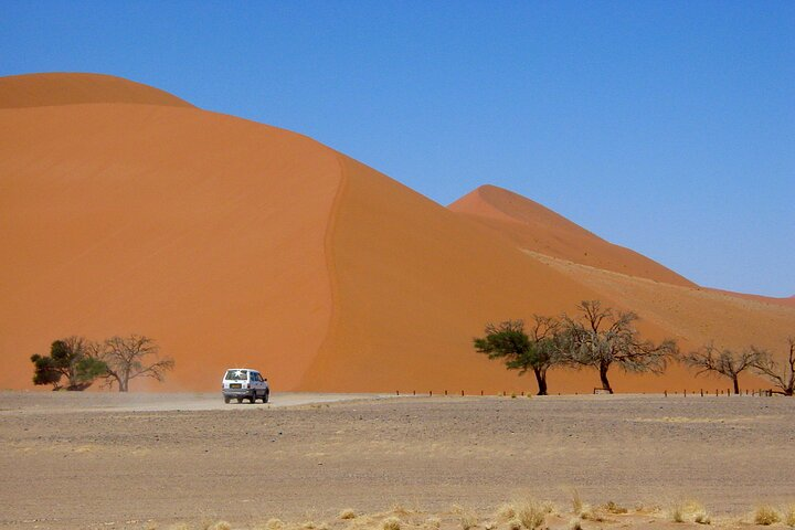  1 Night All inclusive Camel Ride & Desert Camp - Photo 1 of 17