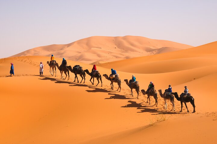 Caravan going through the sand dunes in the Sahara Desert