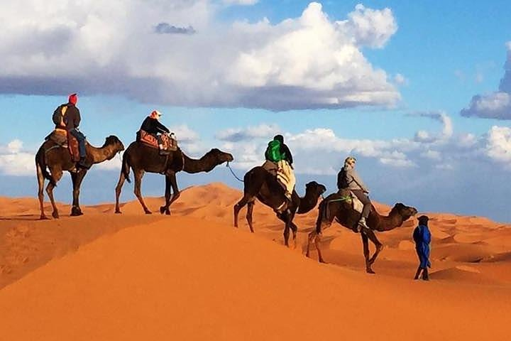 Overnight camel trekking in merzouga desert