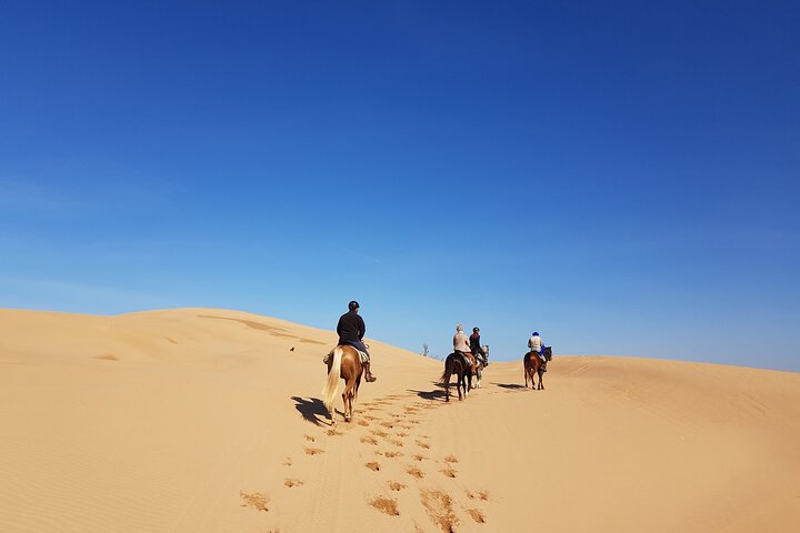 3-hour Private Ride between beach and dunes - Photo 1 of 11