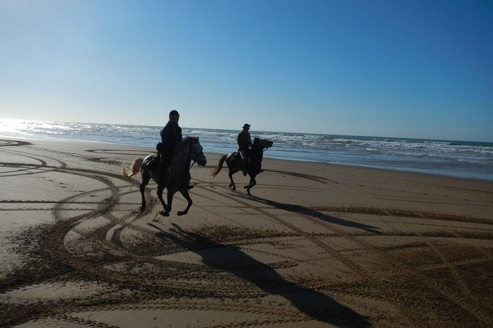 3 Hours Horse Riding with Dinner and Overnight Berber Camp - Photo 1 of 12