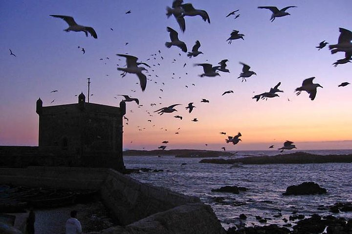 4-Day Essaouira Guided Tour including Astapor