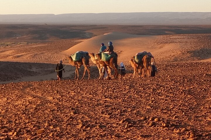 At the pace of the dromedaries.