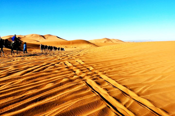 Camel Ride in the Sahara Desert Morocco