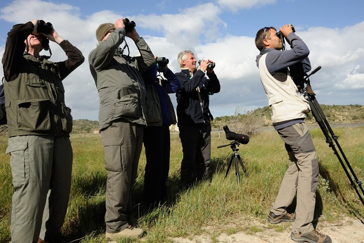 Agadir bird watching - Photo 1 of 14