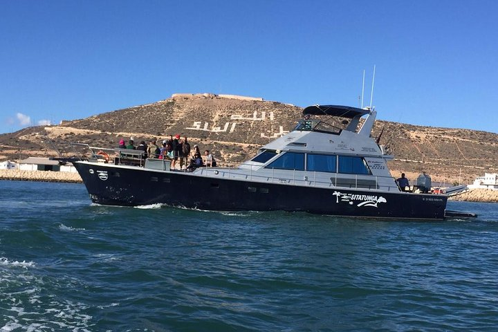 agadir boat trip