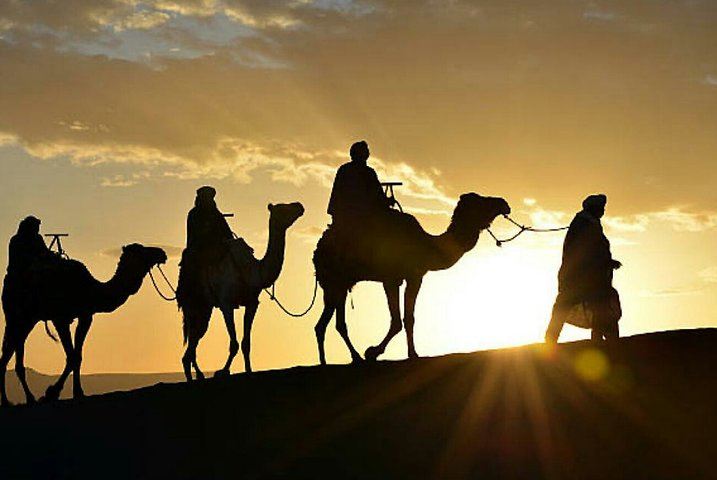 The best camel riding adventure 