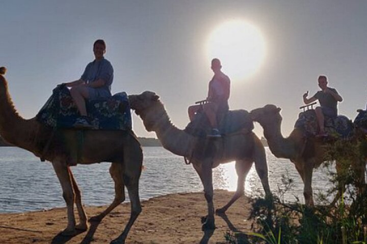 Agadir Camel Riding with Tea Drink  - Photo 1 of 5