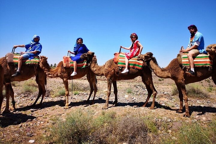 Camel Ride