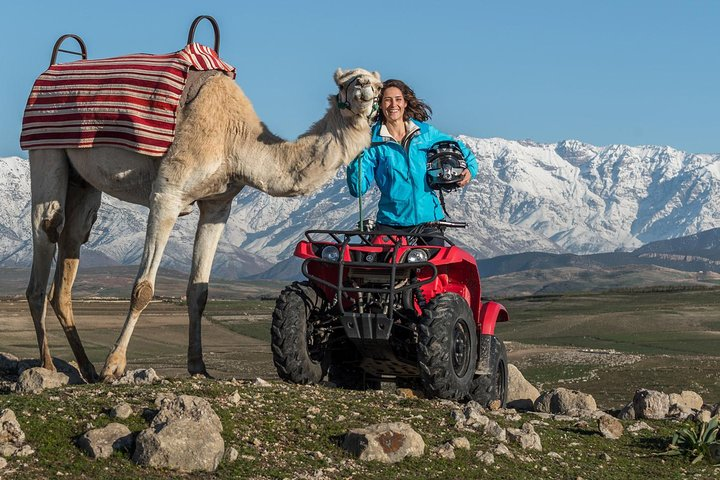 Camel and Quad in Marrakech - Photo 1 of 7