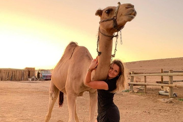 Camel ride at sunset in Agafay desert - Photo 1 of 7