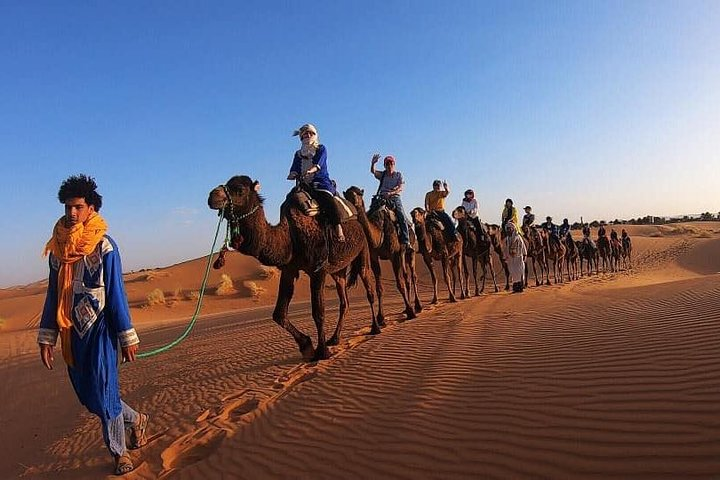 Camel Ride Experience - Photo 1 of 4