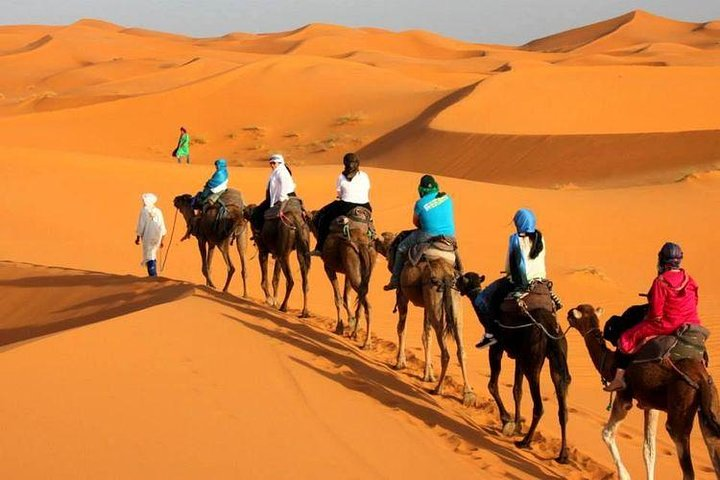 Camel ride in Tanger - Photo 1 of 25