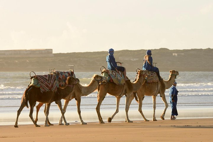 Camel Ride on the Beach of Essaouria - Photo 1 of 7