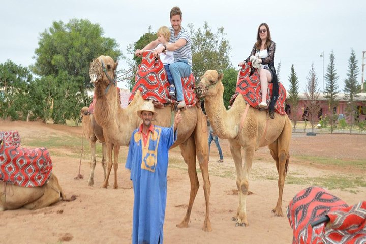 Camel riding in Agadir for Cruise ship Passengers - Photo 1 of 13