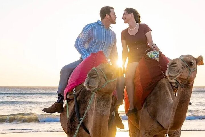 Cap Startel and Camel Ride in Achakkar Beach at Sunset with BBQ - Photo 1 of 12