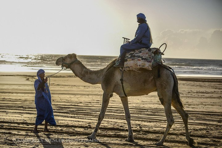 Camel ride