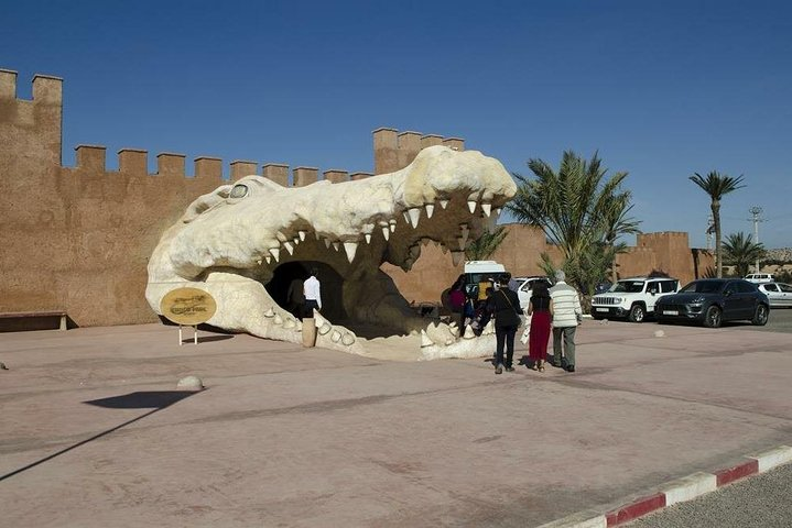 Discover the amazing Park of CROCODILE - Photo 1 of 16