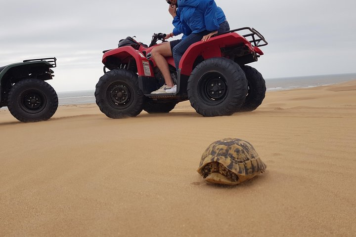 Essaouira: 2-Hour Quad Ride (minimum 2 people) - Photo 1 of 16