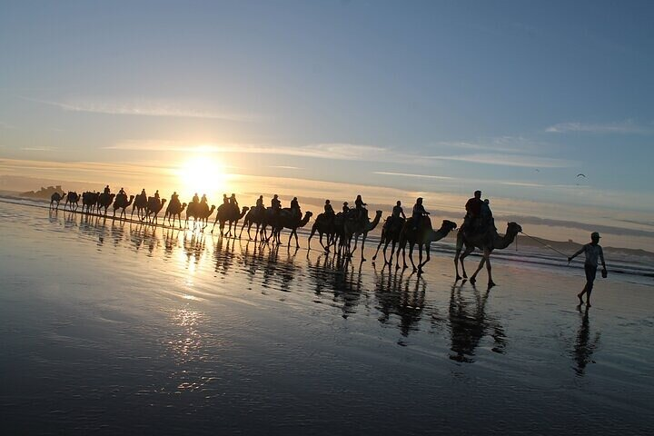 Essaouira: 2H/ Quad + 2H/ Camel (minimum 2 people) - Photo 1 of 15