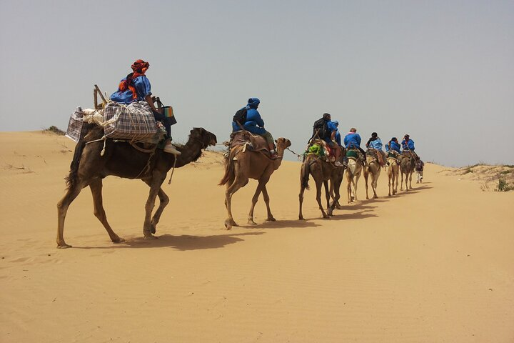 Essaouira: 3-Hour Camel Tour - Photo 1 of 11