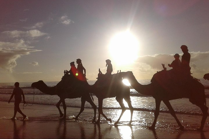 Essaouira: An unforgettable 2 hour ride on a camel - Photo 1 of 10