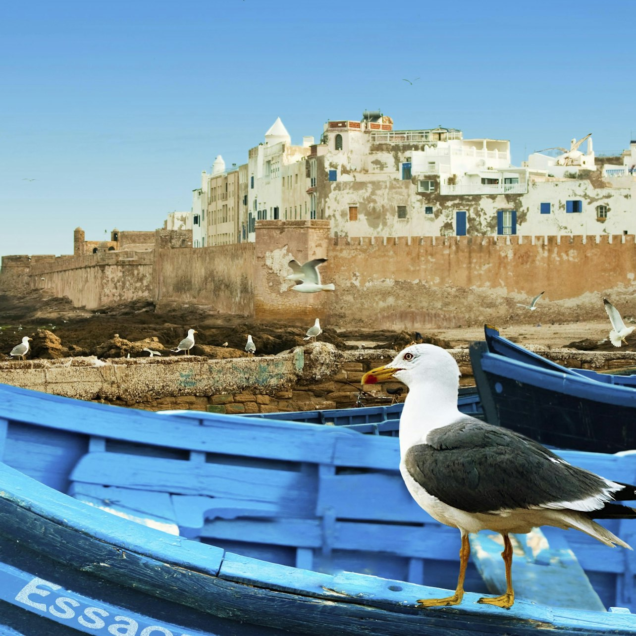 Essaouira: Full-Day Trip - Photo 1 of 3