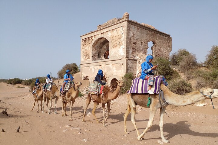 Essaouira Private Camel Ride (1 Hour). - Photo 1 of 17