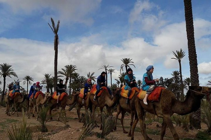 Oasis for camel ride