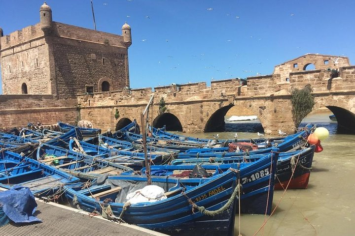 Explore Essaouira & Taste Local Delights From Marrakesh - Photo 1 of 2