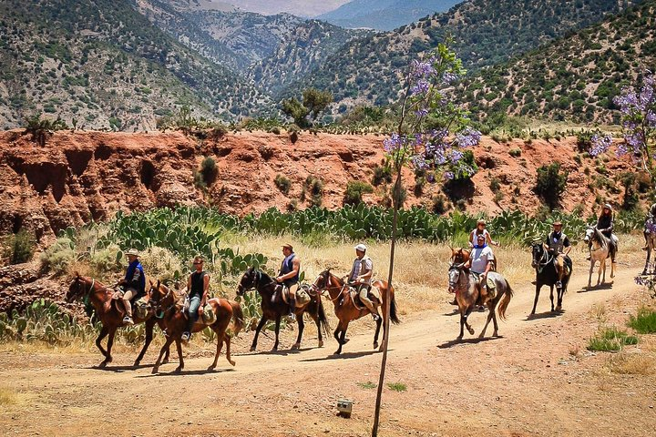 Horse Ride at the Marrakech Desert - Photo 1 of 4