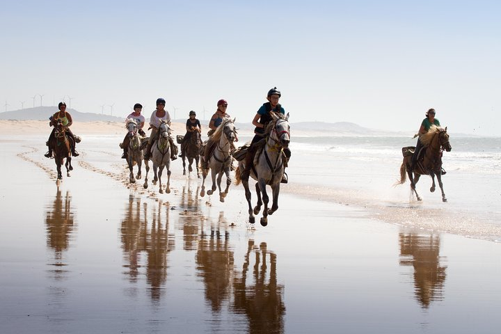 Galloping on the beach in Essaouira