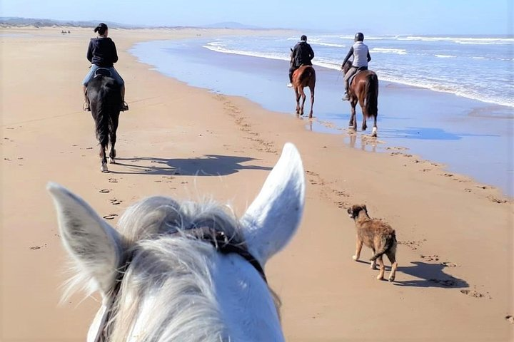 Horseback riding day + picnic - Photo 1 of 4