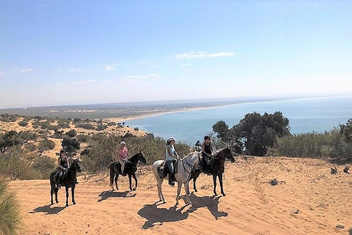 Horseback riding half day with picnic - Photo 1 of 3