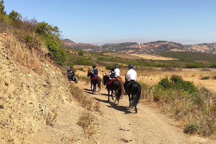 Horseback Riding: MNAR Hills Beginners - Tangier - 1 hour - Photo 1 of 20