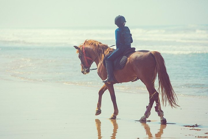 Horseback Riding: PLAYA BLANCA Advanced Riders - Tangier - 1 hour - Photo 1 of 20