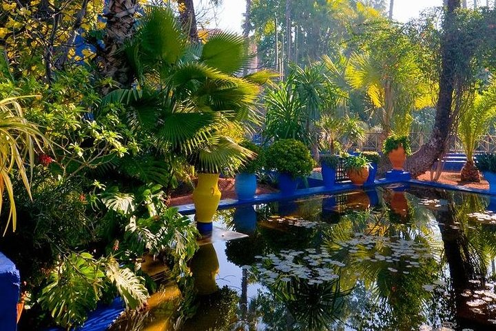 Majorelle and Menara Gardens with Palmeraie Camel Riding Marrakech - Photo 1 of 6