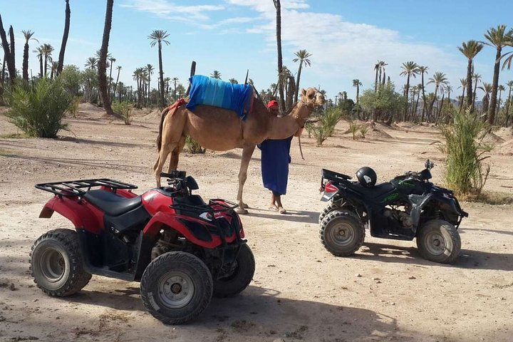 Marrakech Camel ride & Quad Bike experience in the oasis Palmeraie  - Photo 1 of 25